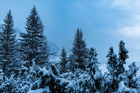 意大利阿尔卑斯山上载着雪的云图片