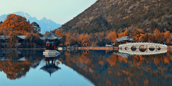 云南丽江的黑龙池背景图片