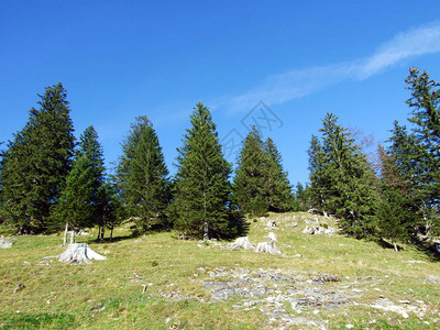 Alpstein山脉和莱茵河谷Rheintal圣加仑州SG图片