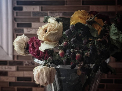 美丽嫩枯的老干白黄红玫瑰花在瓶罐子里特写宏纹理自然背景黑暗喜怒无常的艺术质美丽的老花在家背景图片