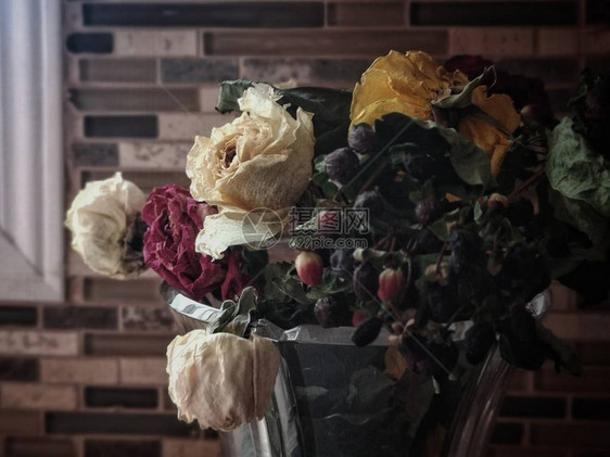美丽嫩枯的老干白黄红玫瑰花在瓶罐子里特写宏纹理自然背景黑暗喜怒无常的艺术质美丽的老花在家图片