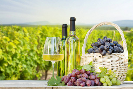 在葡萄园风景前的篮子白葡萄酒瓶和玻璃中的丰富多彩的葡萄图片