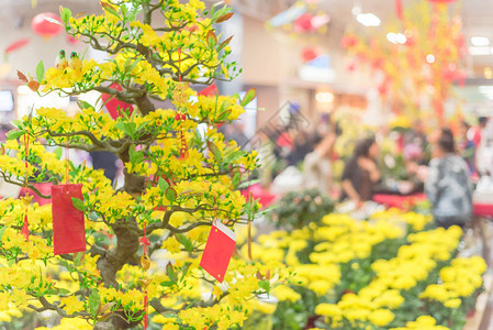 春节喜庆福字美国得克萨斯州越南市场有一连排明亮的黄木罐子和人造黄色杏仁盆树背景