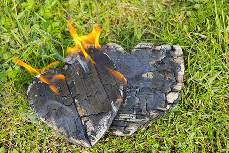 热煤和燃烧的木头以人类心脏的形式出现图片