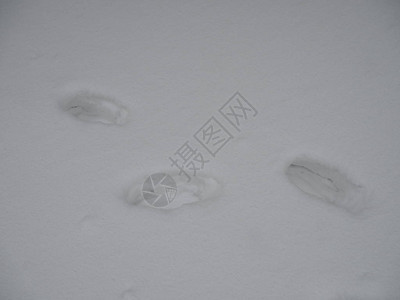 雪上的脚步皮泽尔瑞图片