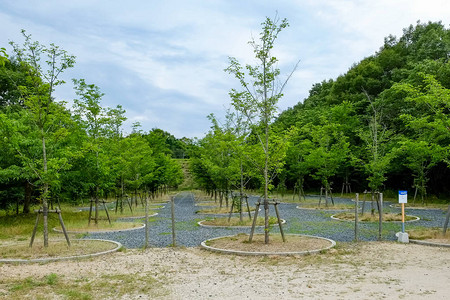 草间弥生日本四国直岛景观背景