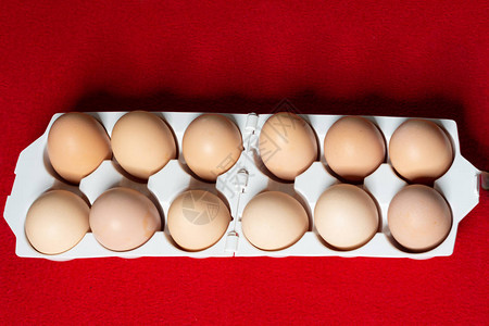 2019年红底鸡蛋的白色塑图片