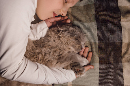 男孩和猫苏格兰折耳猫在男孩的怀里家庭教育中的宠物概念和充满图片