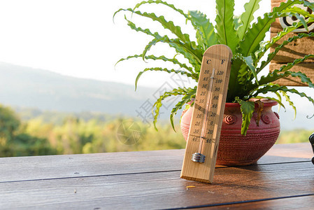 校准为青和华氏度的户外木体外温度计图片