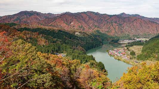 日本福岛Tadam图片