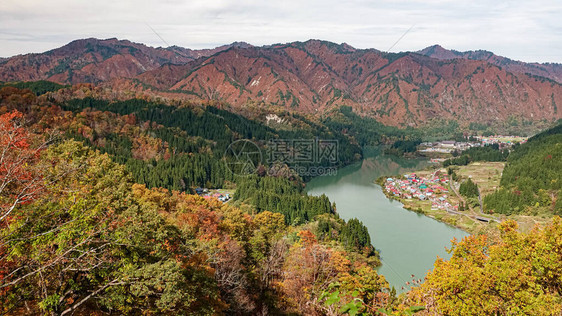 日本福岛Tadam图片