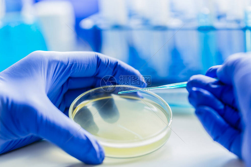 医学诊断实验室在微生物实验室培高清图片下载-正版图片506383686-摄图网