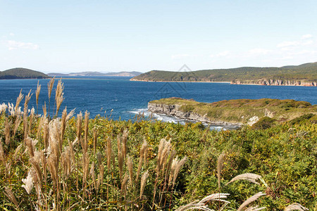 从托比津角对俄罗斯海参沃岛南海岸的景象图片