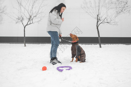 穿着冬装的女人和一条拴在皮带上的狗站在白墙背景的雪地里这个女孩在冬季散步图片