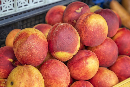 在市场上对甜桃水果进行分类有选图片