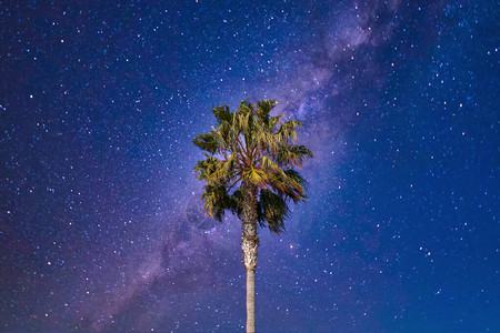 在繁星点的夜空前棕榈树叶在风中摇摆背景图片