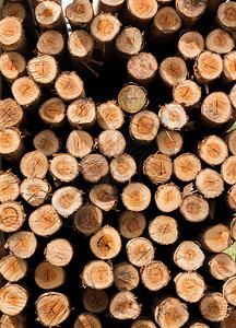 在关于背景干木作为建筑供应材料的章节视图中图片