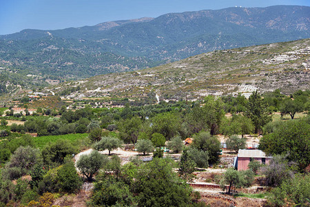特罗多斯山脚下的乡村古老的葡萄种植区利马索尔塞浦路斯利马索图片