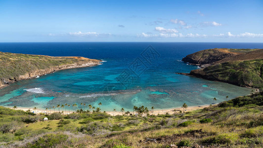 夏威夷奥胡Waikiki附近的Hanauma湾自然保护图片