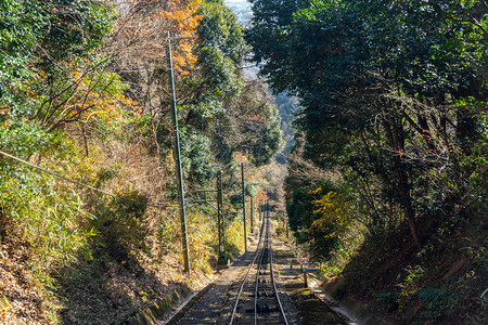 玛雅有线汽车和绳索系统在山顶和玛雅山基地之间行驶图片