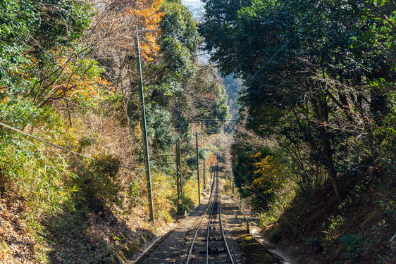 玛雅有线汽车和绳索系统在山顶和玛雅山基地之间行驶图片