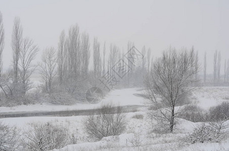 白雪皑的冬季景观的美丽景色图片