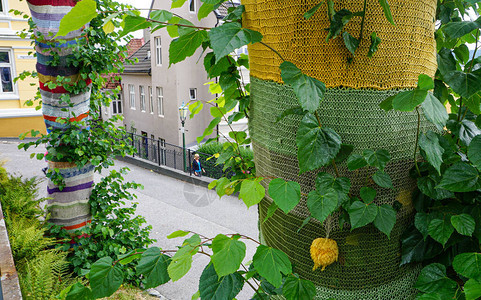 绿树的干由手工编织的网状物保护爱护环境黄色绿色红色的线用于编织特图片