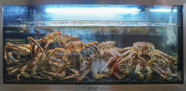 鱼店水族馆里的大王蟹美味的稀有海鲜图片