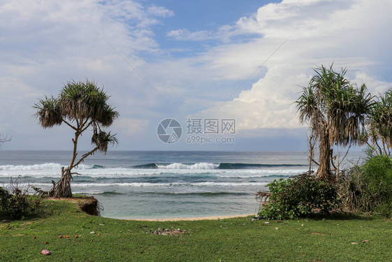 印度尼西亚巴厘岛Nyang海滩上有许多牛粪的绿色牧场印度洋沿岸的绿色草地在背景中图片