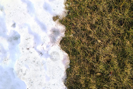 遇见白色的雪和绿草关闭在冬天和春天概念背景之间关于春天的概念形象选择焦点背景与复制图片