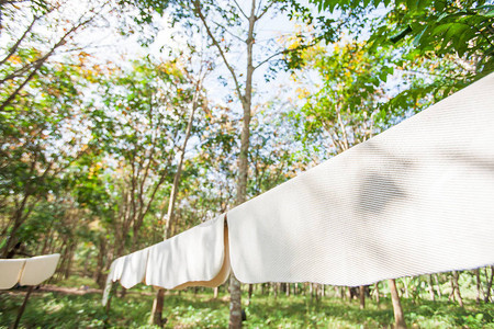 在阳光明媚的夏季天然橡胶空气干燥床单泰国南部当地农业上图片