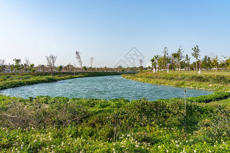 蓝天晴的水南经贸区台中央公园背景图片