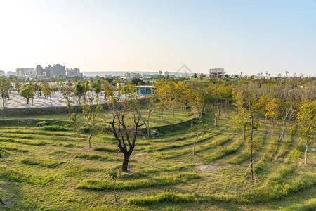 蓝天晴的水南经贸区台中央公园背景图片