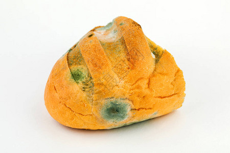 白色背景上的发霉面包过期糕点背景图片