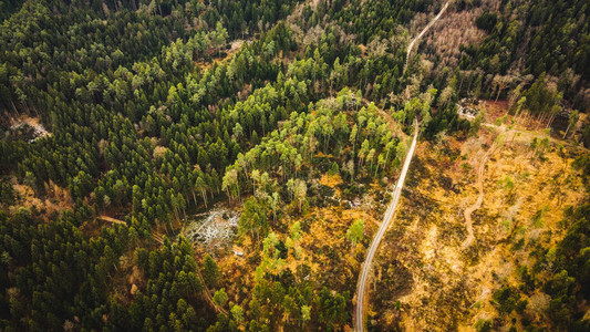 空中观赏森林和灾后的空地无图片