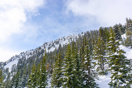 加拿大艾伯塔州班夫公园附近的路易丝湖山峰下雪后图片