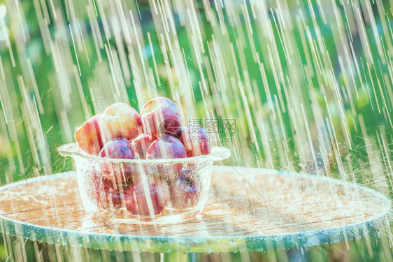 夏天的雨和桃子这张照片是日落时在花园图片