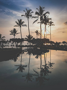 无边泳池水面反射棕榈轮廓的色调图像图片