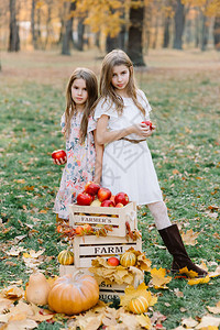 两个穿着长白裙子的可爱姐妹手握着一篮成熟水果和蔬菜丰夏和秋收农业软图片