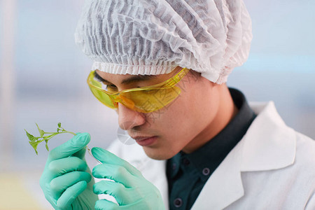 身戴保护眼镜的亚洲年轻植物学家手里握着小芽背景图片