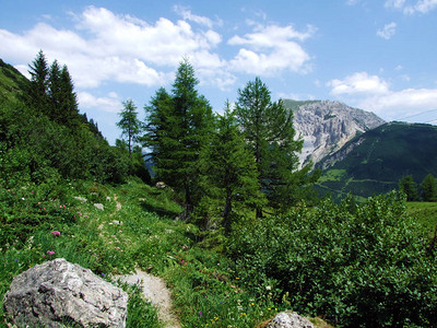 列支敦士登阿尔卑斯山脉坡和马尔本塔尔高山谷的混交林和稀疏的树木列支图片
