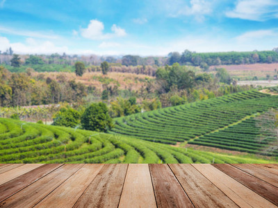 泰国北部绿茶场上的地砖木纹或木顶桌春天的风景和背景展示有机产品图片