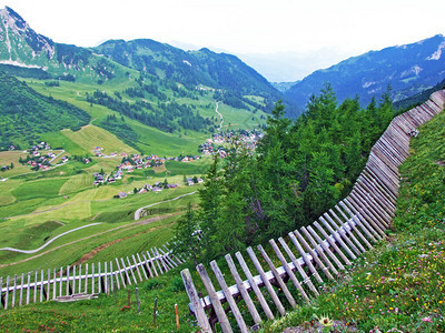 保护列支敦士登阿尔卑斯山脉的雪崩或防止雪崩和雪飘的木栅栏列支背景图片
