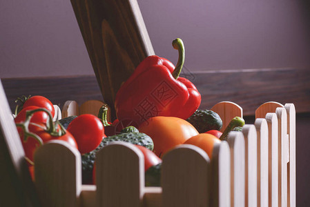 有机生蔬菜西红柿黄瓜甜辣椒天然健康饮食新鲜食物概念图片