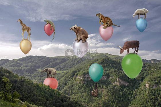 超现实的概念场景与动物在美丽的蓝天和白云下覆盖着绿色森林的巨大峡谷中的五颜六色的气球上飞行自然之图片