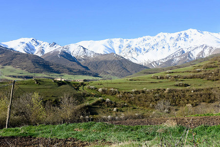 雪山和谷春天开花的树木和耕地亚美尼图片