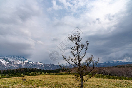 自然景象滚动山脉和高纬度春季时期的林地日本北海道Shirieto图片