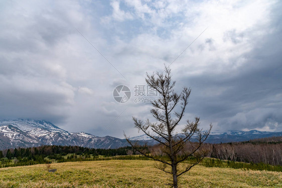 自然景象滚动山脉和高纬度春季时期的林地日本北海道Shirieto图片