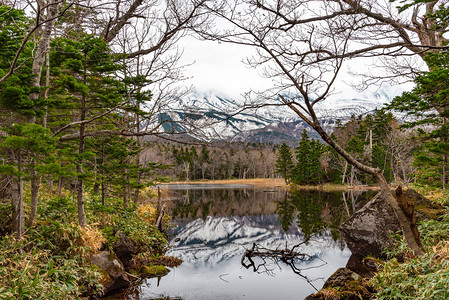 知床五湖地区的第二湖春天连绵起伏的山脉和林地高纬度自然美景知床国立公园日本图片