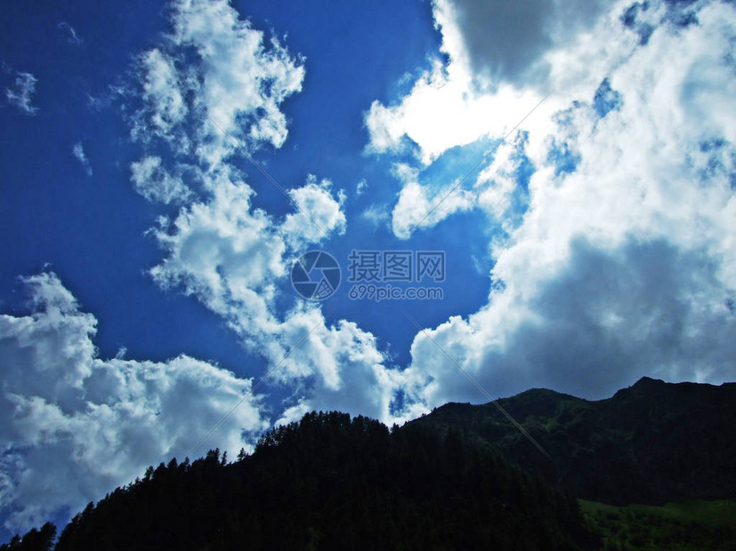 令人惊叹的高级词汇英语
